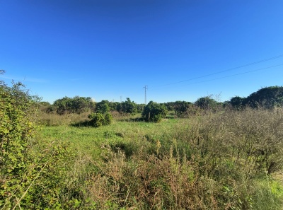 Terrenos y parcelas en Venta en Carcaixent, Comunidad Valenciana