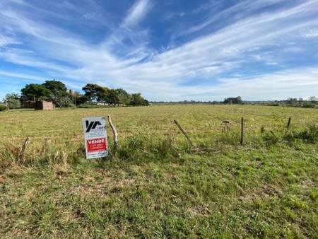 Campos y Chacras en Venta en Salto, Salto