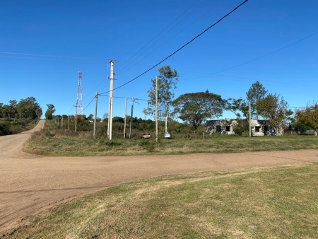 Campo / Chacra en Venta en Salto, Salto