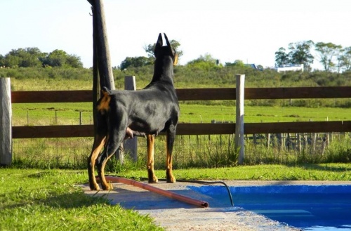 Campo / Chacra en Venta en Santa Rosa, Santa Rosa, Canelones