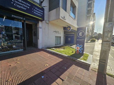 Local Comercial en Alquiler en La Blanqueada, Montevideo