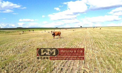 Campo / Chacra en Venta en Florida, Florida
