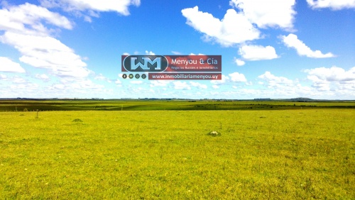 Campos y Chacras en Venta en Tacuarembó