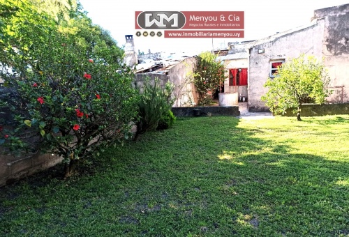 Venta Casa Trinidad Flores 3 Dormitorios Baño Amplio Patio | Casas en