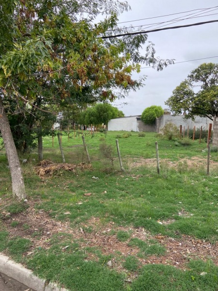 Terreno en Venta en Durazno , Durazno