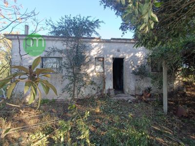 Campos y Chacras en Venta en Ruta 96 camino del medio, Dolores, Soriano