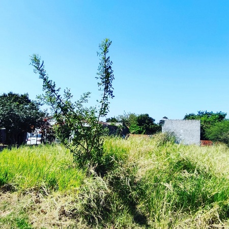 Terrenos en Venta en Mariano Roque Alonso, Central