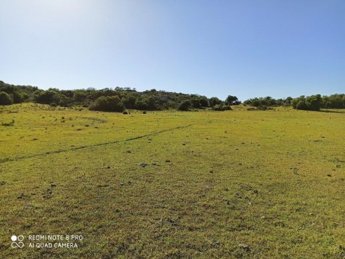 Campo / Chacra en Venta en Nico Pérez, Florida