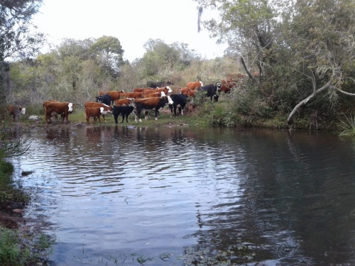 Campos y Chacras en Venta en Puntas del Parao, Treinta y Tres