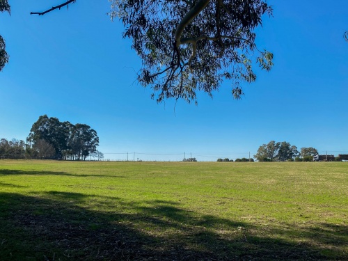 Campo / Chacra en Venta en Empalme Olmos, Canelones