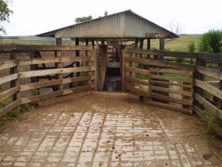 Campo / Chacra en Venta en Artigas, Artigas