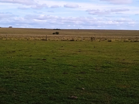 Campo / Chacra en Venta en Artigas, Artigas