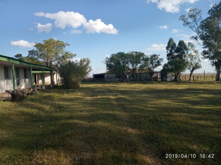 Campo / Chacra en Venta en Salto, Salto