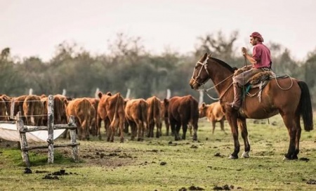 Campos y Chacras en Venta en Arroyo Malo, Cerro Largo