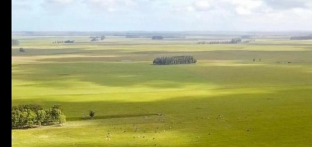 Campos y Chacras en Venta en Castillos, Rocha