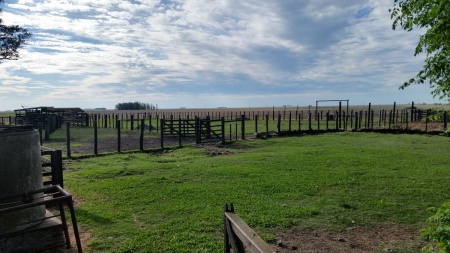 Campo / Chacra en Venta en Bella Unión, Artigas