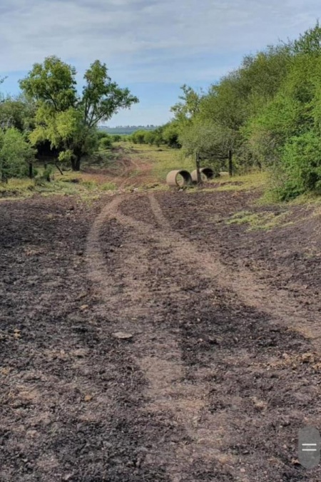 Campos y Chacras en Venta en Paysandú