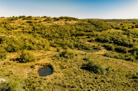 Campos y Chacras en Venta en Maldonado, Maldonado