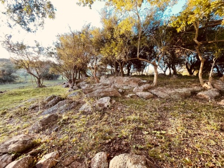 Campo / Chacra en Venta en Aiguá, Maldonado