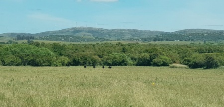 Campo / Chacra en Venta en San Carlos, Maldonado