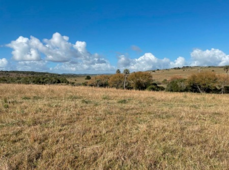 Campo / Chacra en Venta en San Carlos, Maldonado