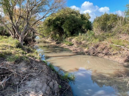 Campo / Chacra en Venta en San Carlos, Maldonado