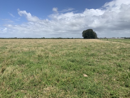 Campo / Chacra en Venta en 19 De Abril, Rocha