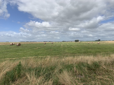 Campo / Chacra en Venta en 19 De Abril, Rocha