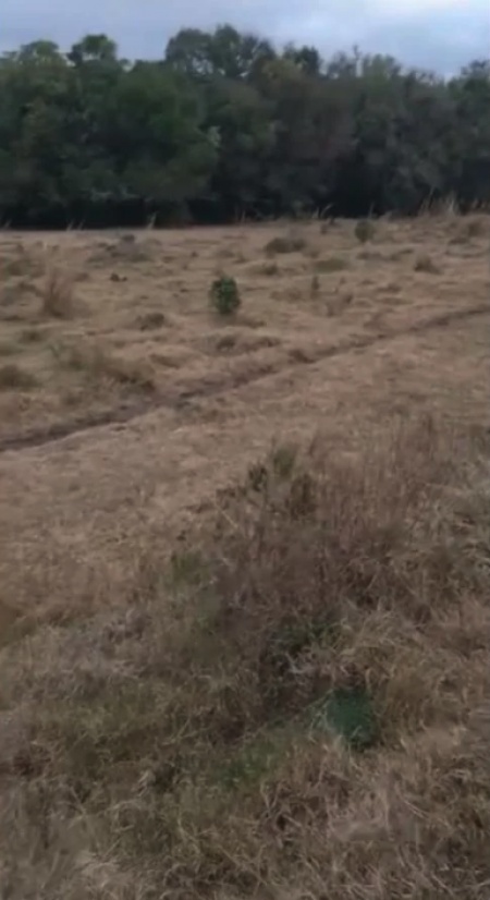 Campo / Chacra en Venta en Treinta y Tres, Treinta y Tres