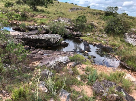 Campo / Chacra en Venta en Melo, Cerro Largo