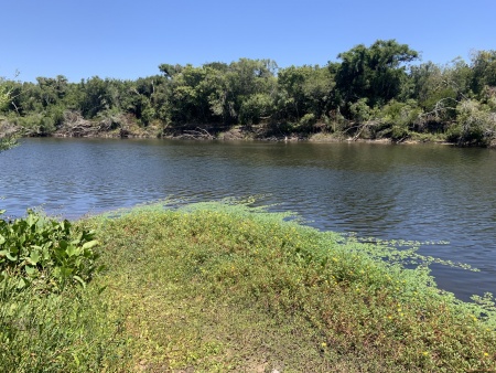 Campo / Chacra en Venta en San Carlos, Maldonado