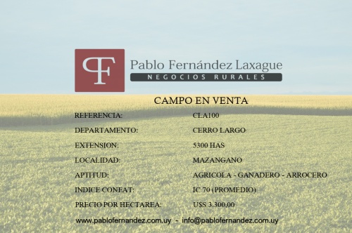 Campo / Chacra en Venta en Ramón Trigo, Cerro Largo