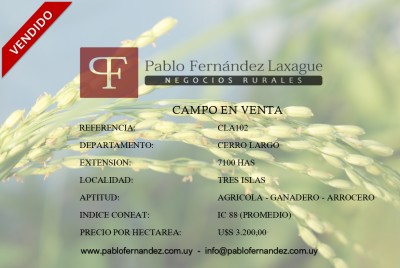 Campo / Chacra en Venta en Tres Islas, Cerro Largo