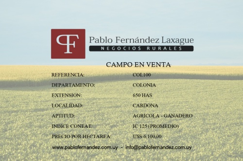 Campo / Chacra en Venta en Cardona, Colonia