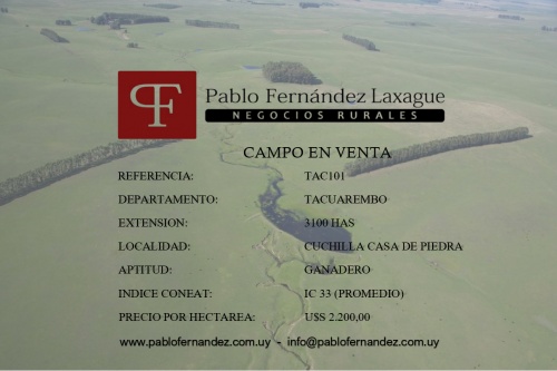 Campos 2000 a 4000 has en Venta en Cuchilla Casa De Piedra, Tacuarembó