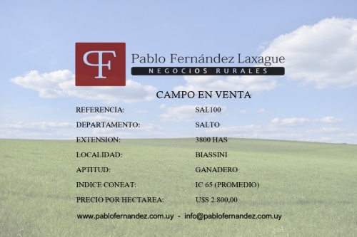 Campo / Chacra en Venta en Biassini, Salto