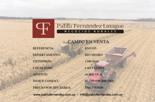 Campo / Chacra en Venta en Las Flores, Río Negro