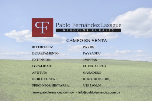 Campo / Chacra en Venta en El Eucalipto, Paysandú