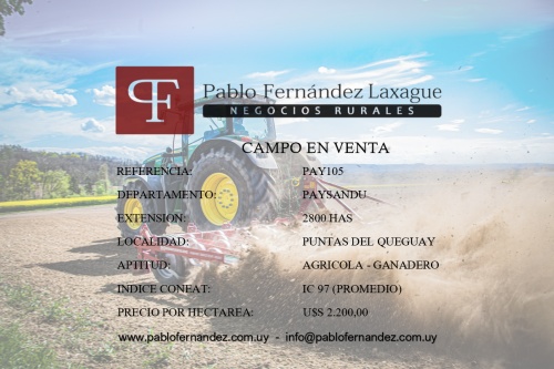 Campos 2000 a 4000 has en Venta en Puntas De Queguay, Paysandú