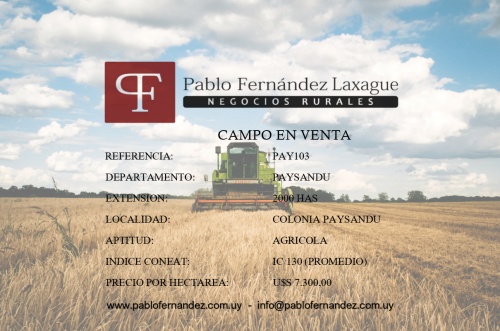 Campo / Chacra en Venta en Colonia Paysandú, Paysandú