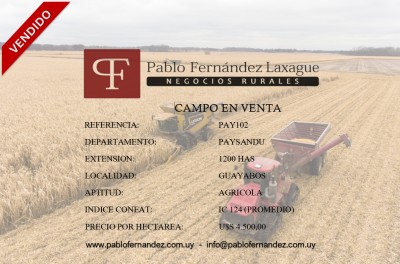 Campo en Venta en Guayabos, Paysandú