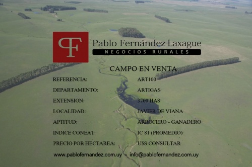 Campo / Chacra en Venta en Constancia, Paysandú