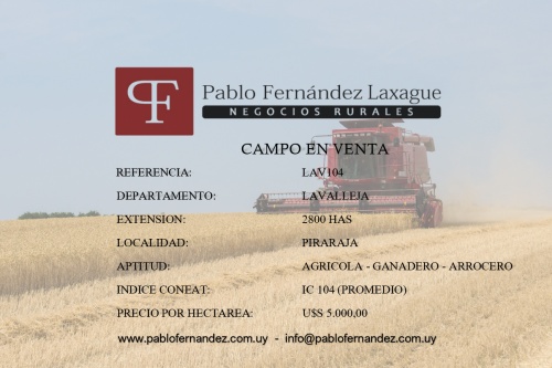 Campo / Chacra en Venta en Pirarajá, Lavalleja