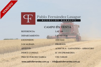 Campos 2000 a 4000 has en Venta en Pirarajá, Lavalleja
