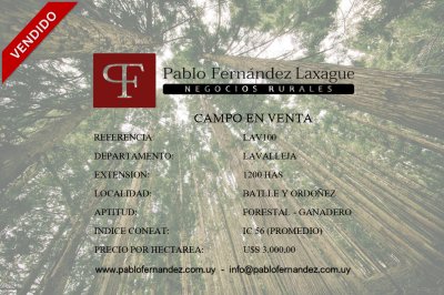 Campos 1000 a 2000 has en Venta en José Batlle y Ordóñez, Lavalleja