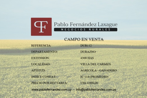 Campo / Chacra en Venta en Villa Del Cármen, Durazno