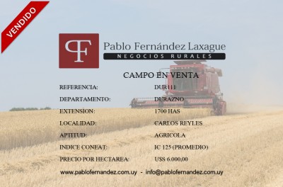 Campo en Venta en Carlos Reyles, Durazno