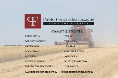 Campo / Chacra en Venta en Carlos Reyles, Durazno