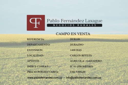 Campo en Venta en Carlos Reyles, Durazno