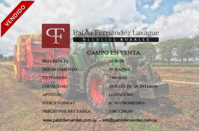 Campos 1000 a 2000 has en Venta en Molles De Quinteros, Durazno
